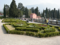 DSCN4519